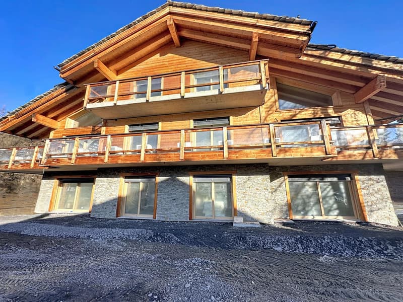 Duplex d'exception au charme alpin (13)