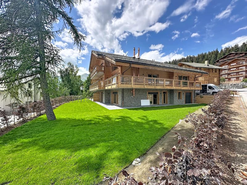 Duplex d'exception au charme alpin (2)