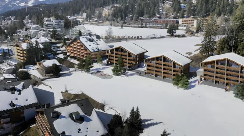 Élégance alpine en rez-jardin (5)