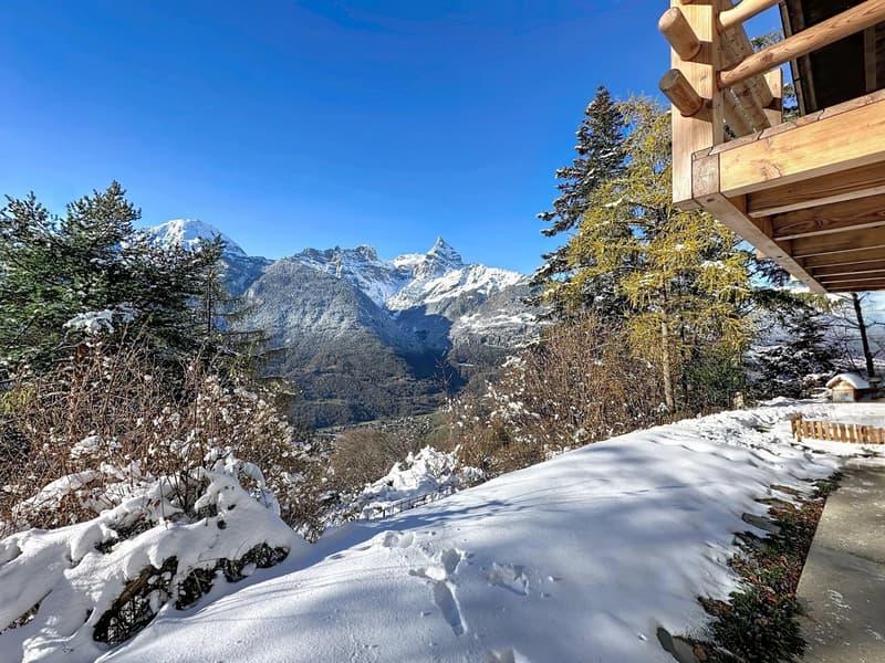 Vue panoramique sur le Mont-Blanc et la Cime de l'Est (7)