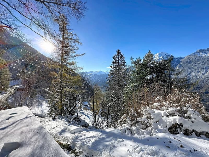 Vue panoramique sur le Mont-Blanc et la Cime de l'Est (6)