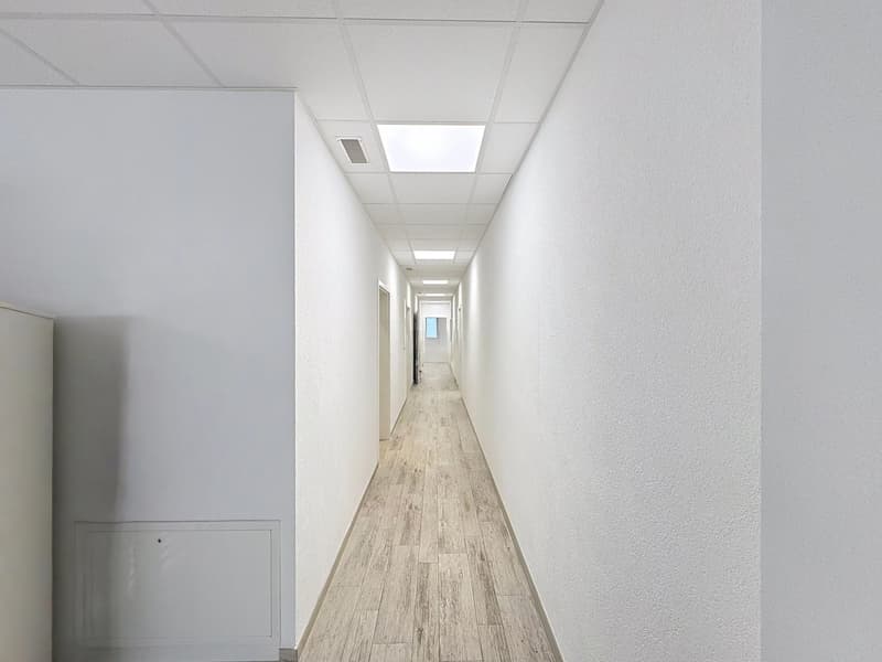 Surface modulable au fort potentiel (7)