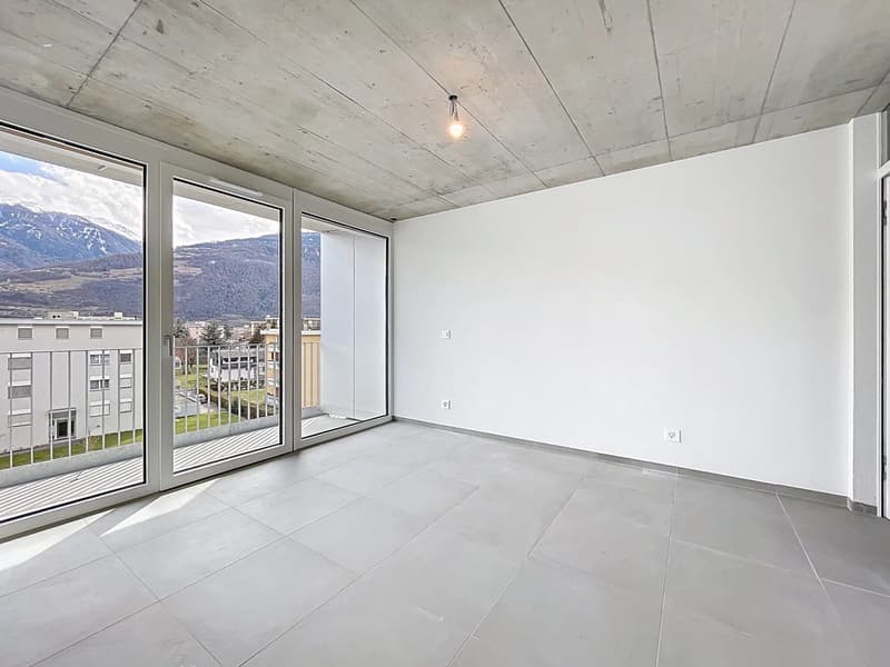 Attique lumineux avec vaste balcon (9)
