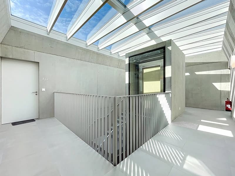 Attique lumineux avec vaste balcon (12)