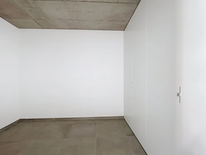 Attique lumineux avec vaste balcon (10)