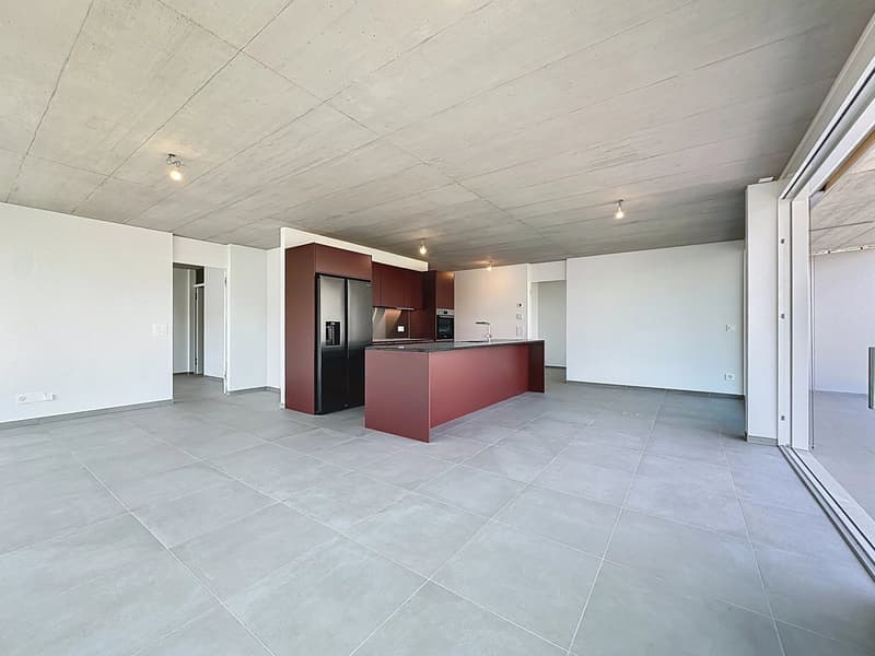 Attique lumineux avec vaste balcon (2)