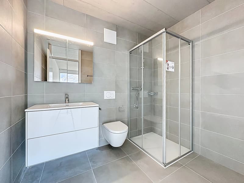 Attique lumineux avec vaste balcon (9)