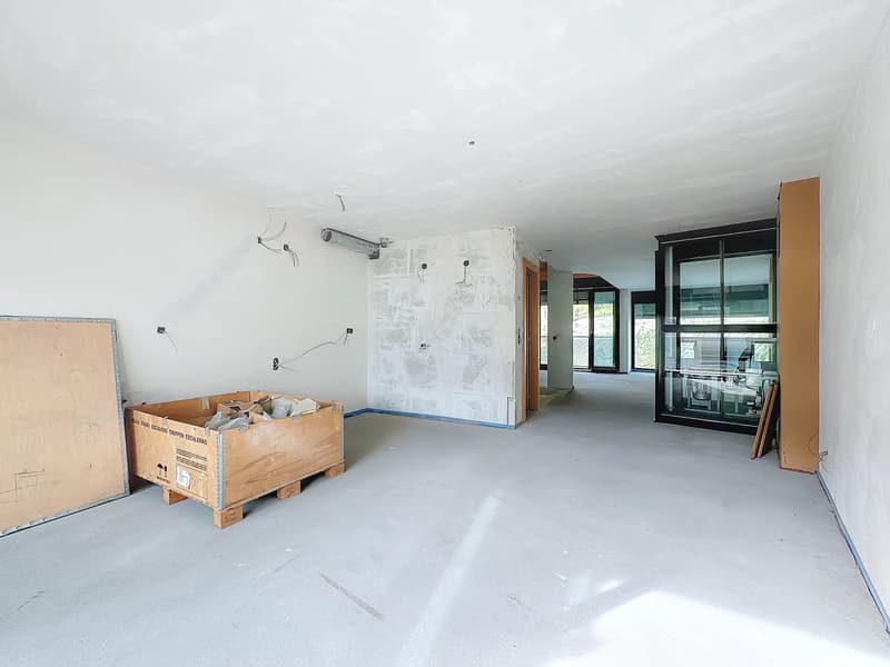 Triplex de Luxe en Attique - Label Minergie (5)