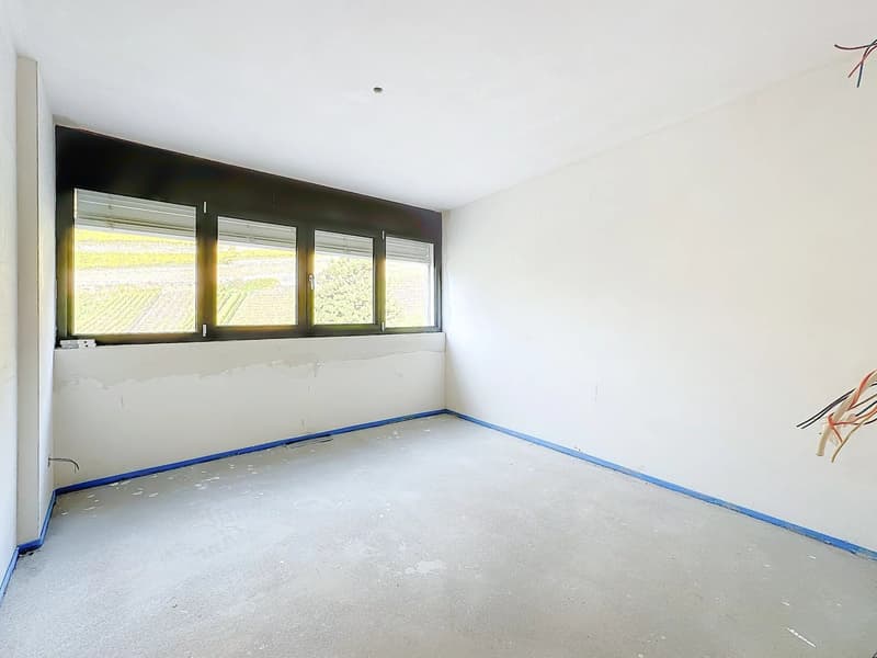 Triplex de Luxe en Attique - Label Minergie (8)