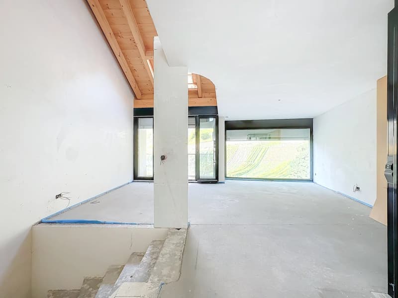 Triplex de Luxe en Attique - Label Minergie (3)