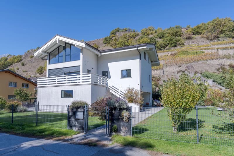 Villa familiale de charme (1)