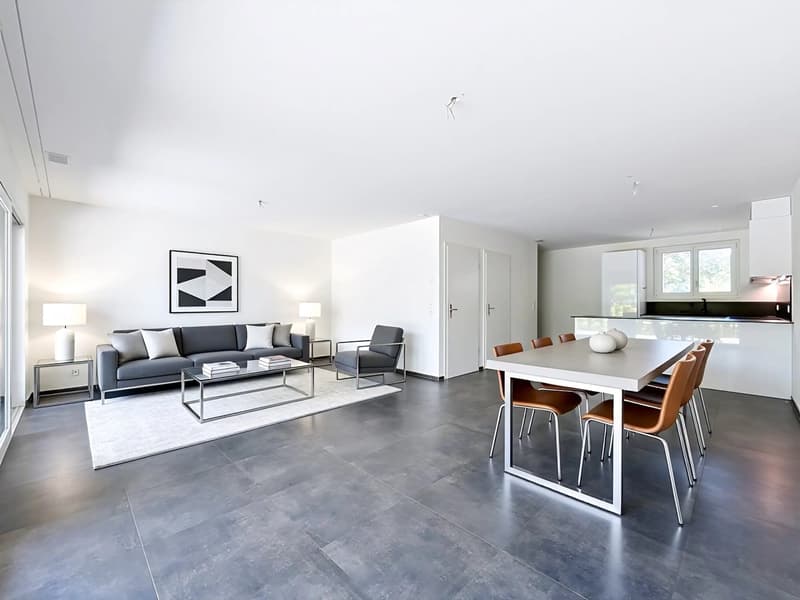 Villa contemporaine avec jardin et terrasses (4)