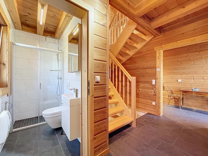 Chalet contemporain avec vue imprenable sur les Alpes (5)