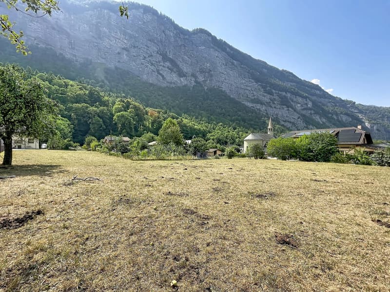Terrain libre de mandat (6)