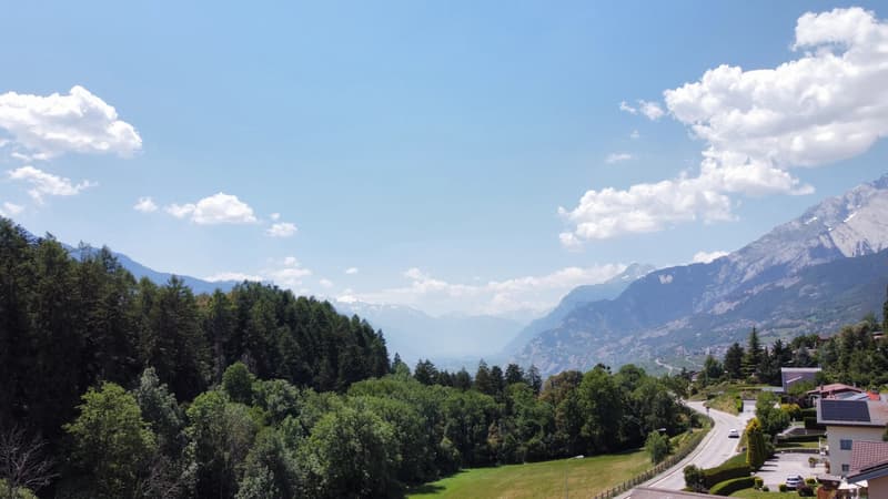 Villa familiale de 4.5 pièces (11)