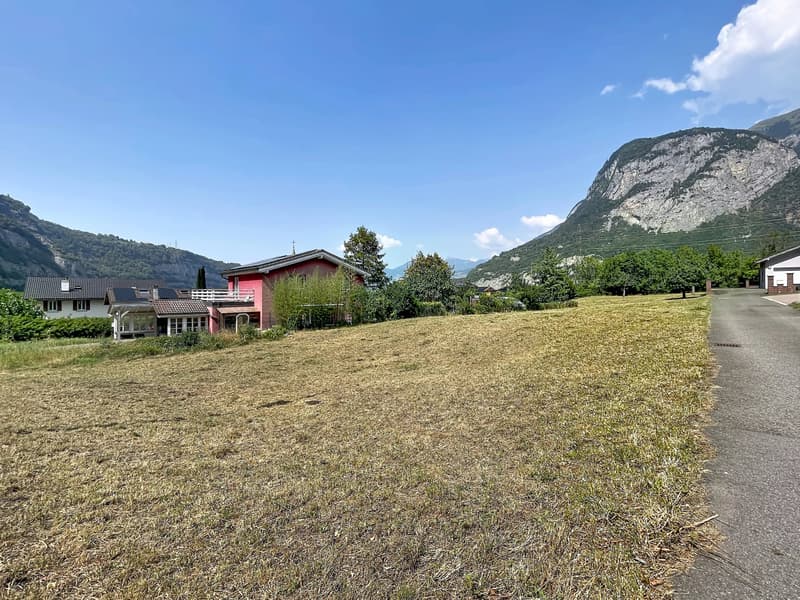 Terrain libre de mandat (4)