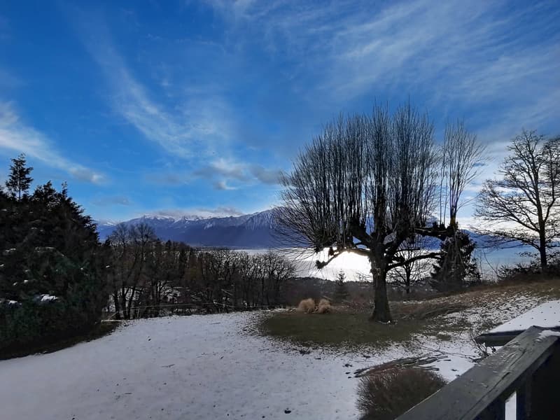 Domaine au coeur de la nature avec vue ! (6)