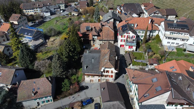 Maison à rénover dans environnement calme (2)