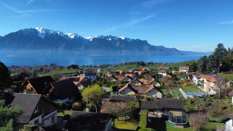Tranquilité et vue sur le Léman ! (2)