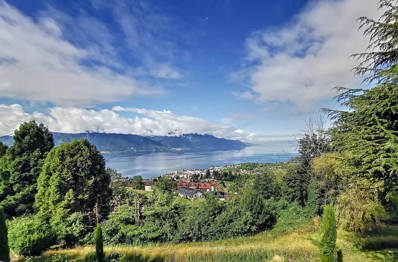 Magnifique villa individuelle avec vue sur le Lac Léman ! (4)
