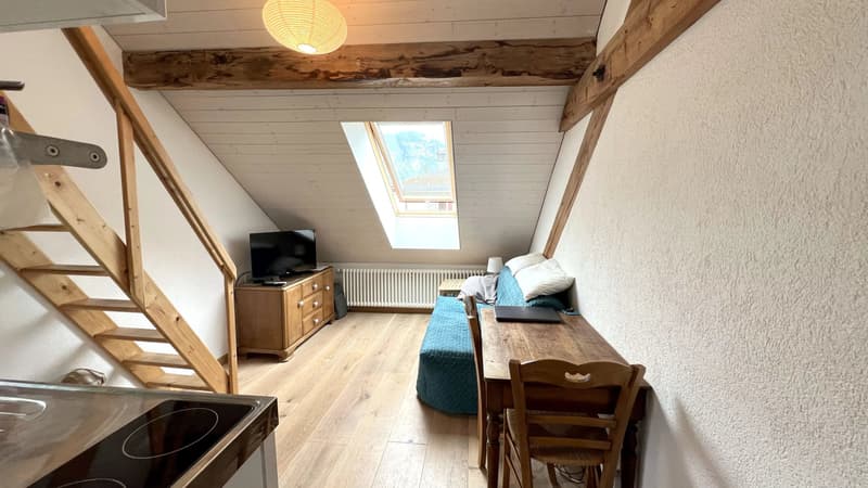 Maison à vendre avec potentiel de rendement locatif (10)