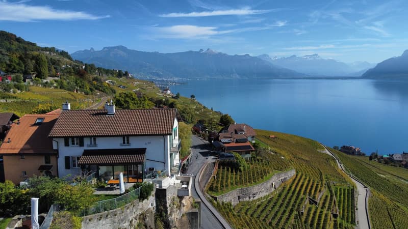Maison villageoise avec vue inégalable sur le Lavaux et le Léman ! (2)