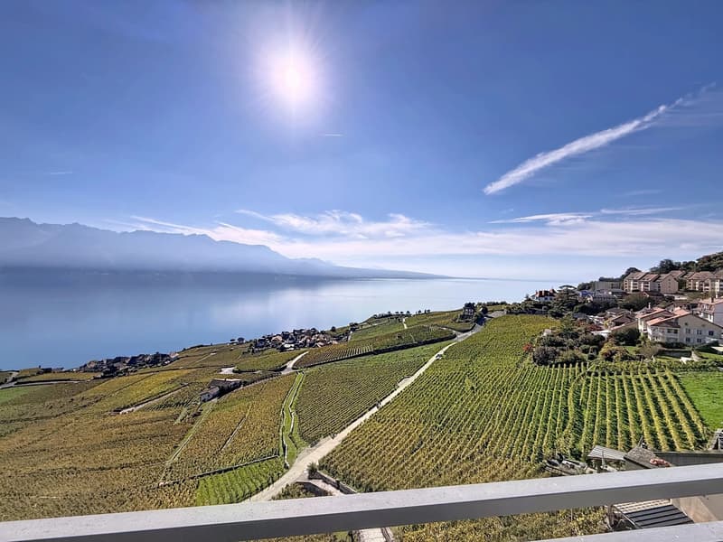 Maison villageoise avec vue inégalable sur le Lavaux et le Léman ! (1)