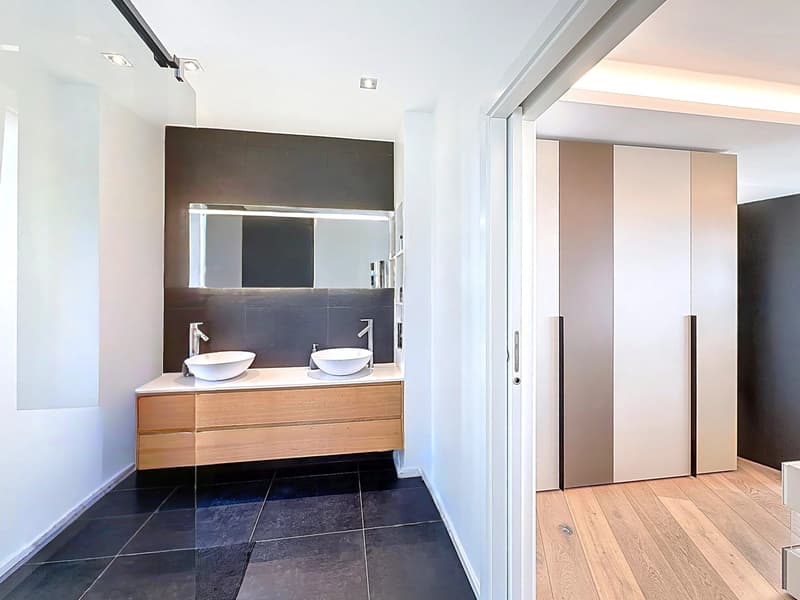 Luxe, modernité et vue imprenable sur le Lac ! (7)