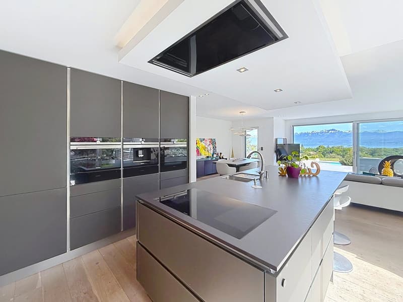 Luxe, modernité et vue imprenable sur le Lac ! (3)