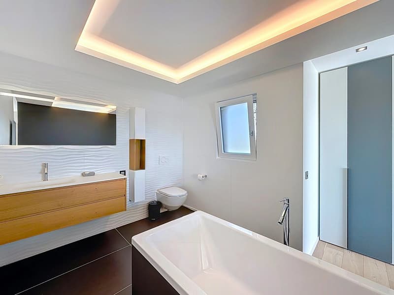 Luxe, modernité et vue imprenable sur le Lac ! (8)