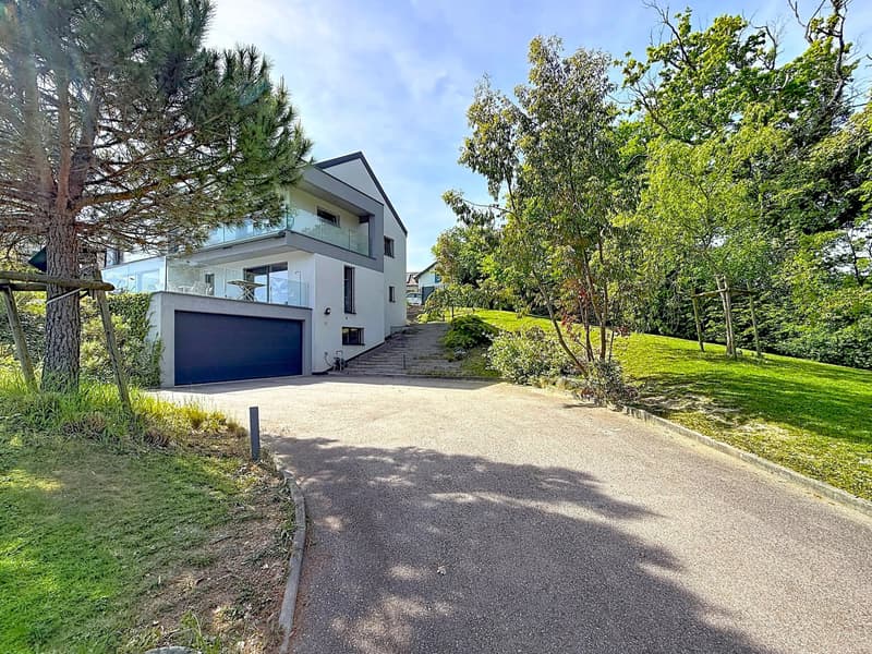 Luxe, modernité et vue imprenable sur le Lac ! (13)