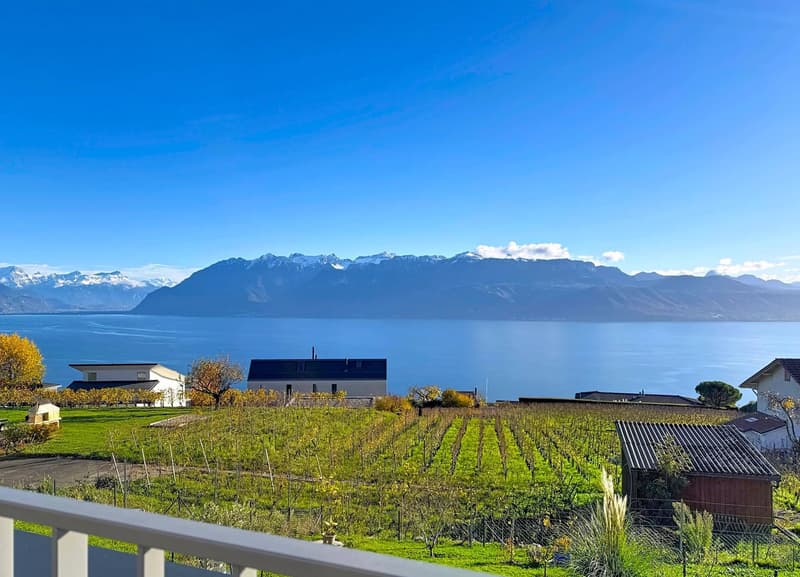 Grandvaux ! Vue spectaculaire sur le Lac ! (1)
