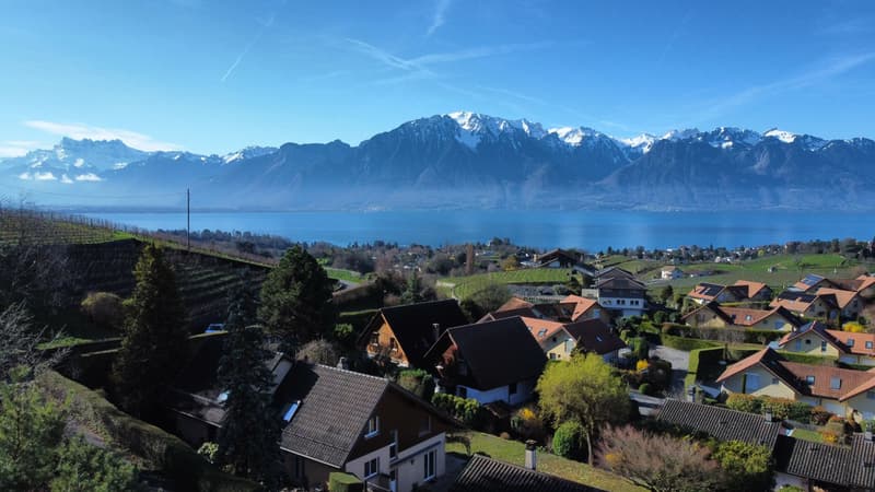 Tranquilité et vue sur le Léman ! (1)