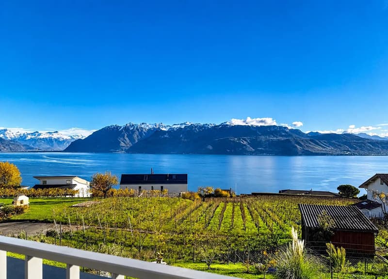 Grandvaux ! Vue spectaculaire sur le Lac ! (3)