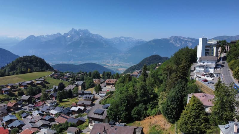Attique avec vue sur les Dents du Midi ! (3)