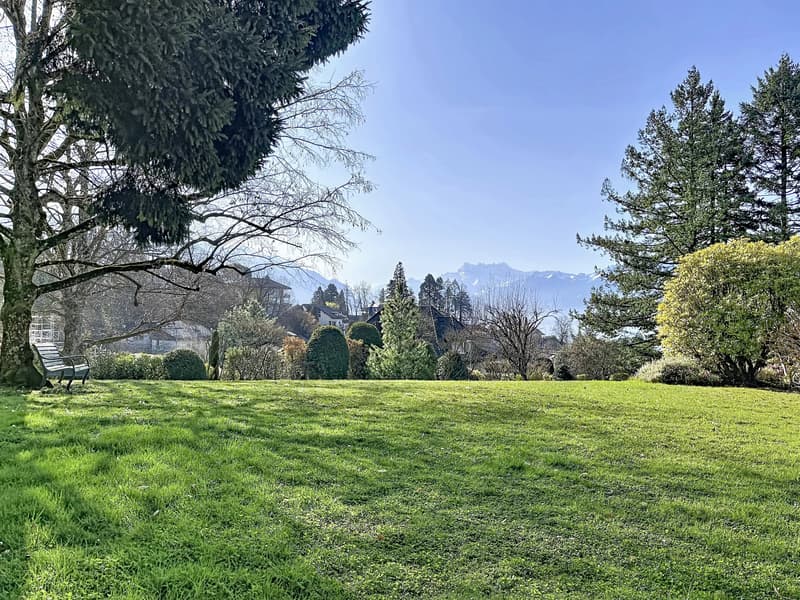 Terrain à vendre avec potentiel de développement ! (3)