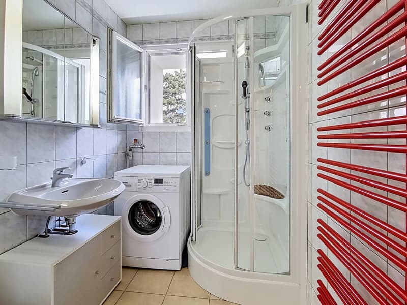 Appartement lumineux avec balcon (5)
