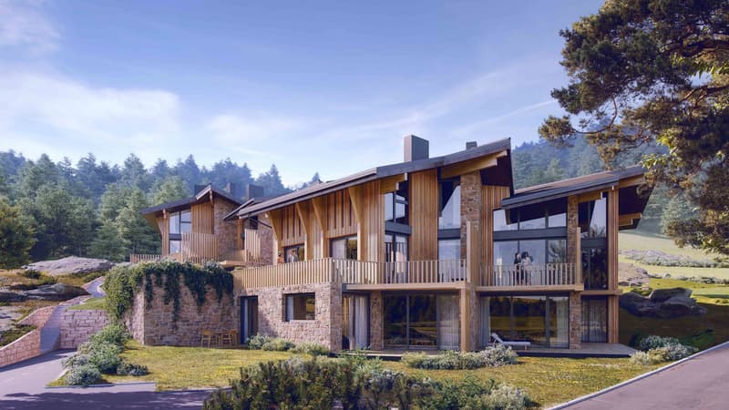 Vivre la montagne aux Paccots ! (1)