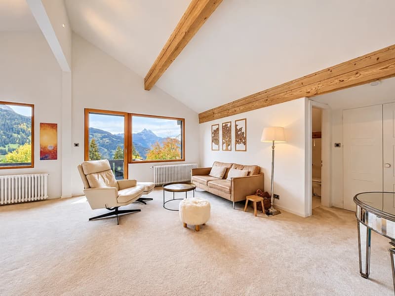 Chalet avec une vue imprenable et potentiel exceptionnel (11)