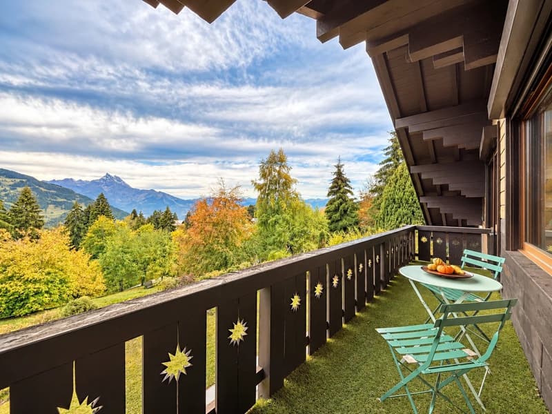 Chalet avec une vue imprenable et potentiel exceptionnel (8)
