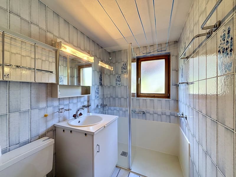 Chalet avec fort potentiel de rénovation (8)