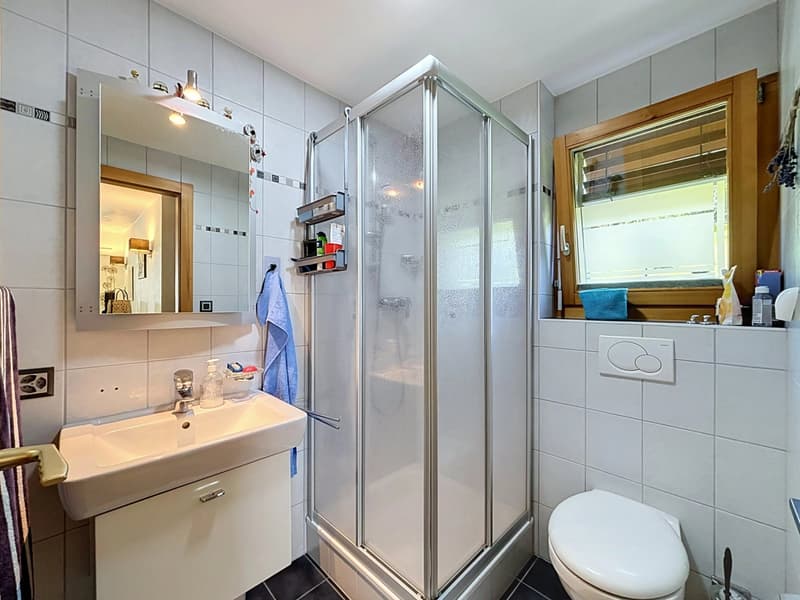 Magnifique villa-chalet familiale avec jardin et terrasse ensoleillée (9)