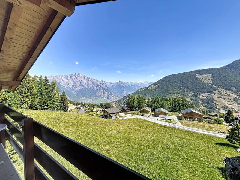 Chalet avec vue à couper le souffle (10)