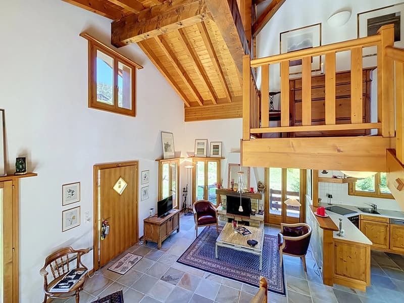 Chalet avec vue à couper le souffle (3)