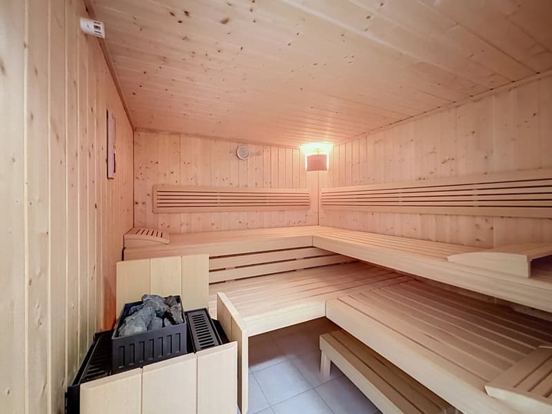 Chalet avec vue à couper le souffle (13)