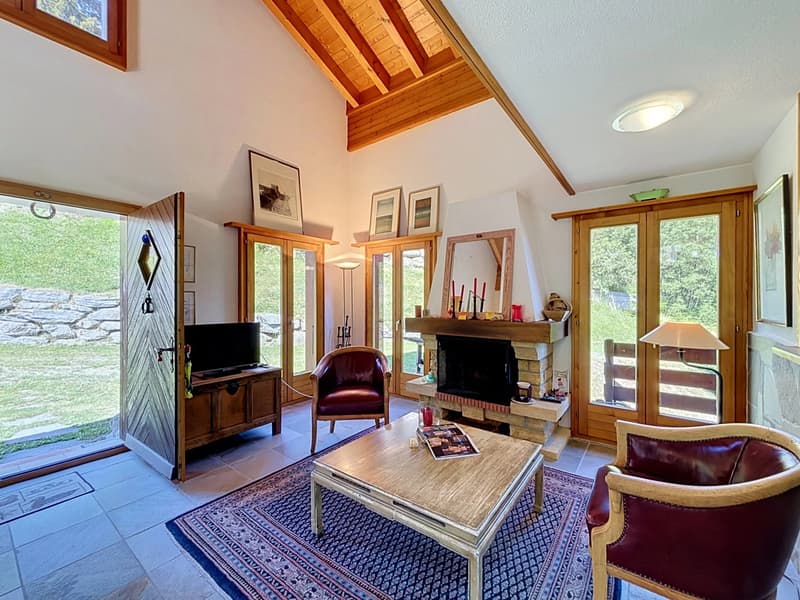 Chalet avec vue à couper le souffle (4)