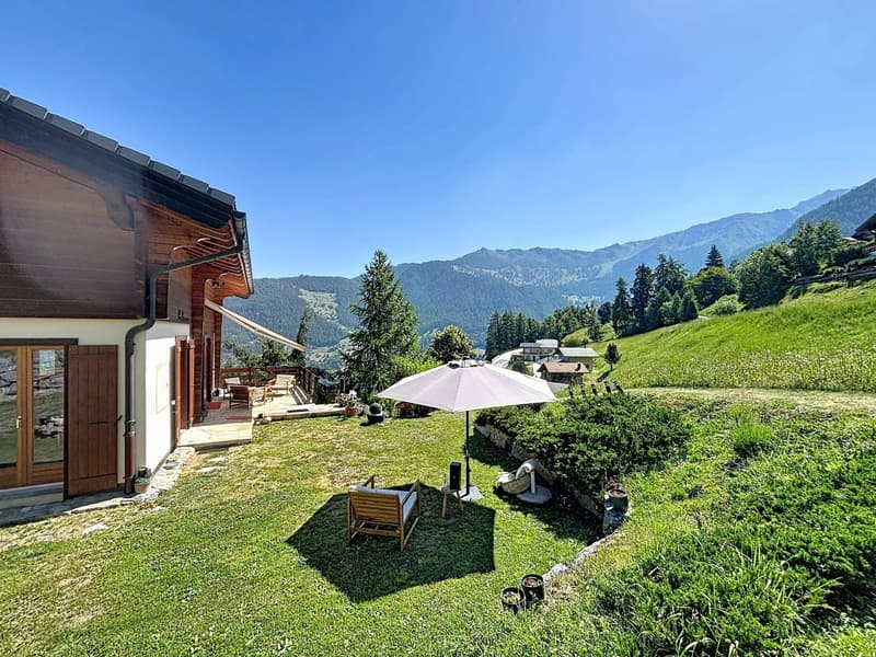 Chalet avec vue à couper le souffle (11)