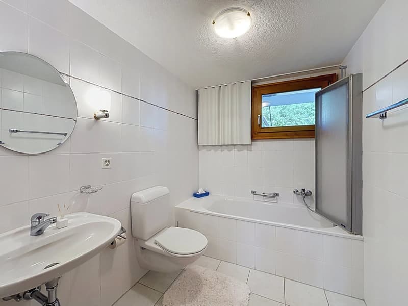 Chalet avec vue à couper le souffle (12)