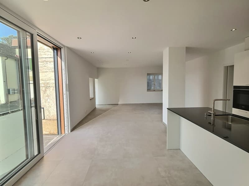 24 29 Magnifique appartement de 4.5 pièces au rez - Grande terrasse (10)