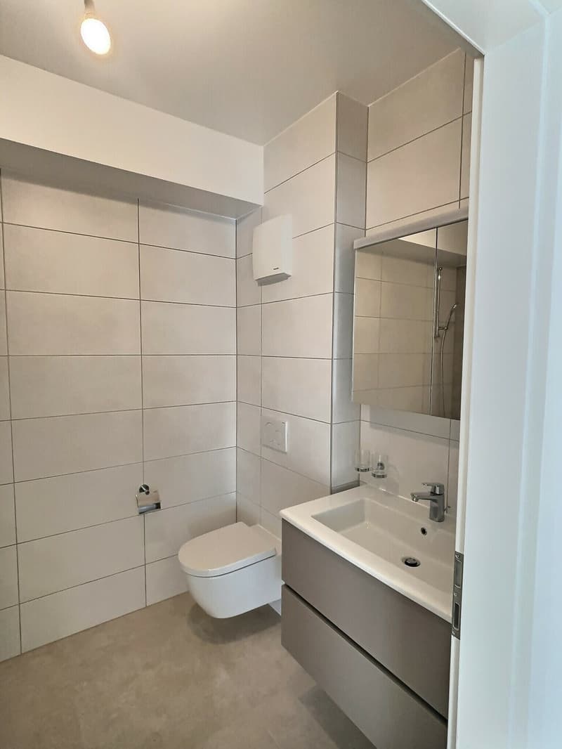 24 29 Magnifique appartement de 4.5 pièces au rez - Grande terrasse (8)